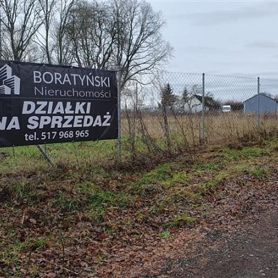 zdjecie