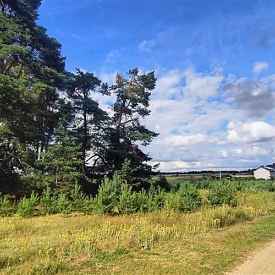 SPRZEDAŻ na DZIAŁKA w Biały Bór  