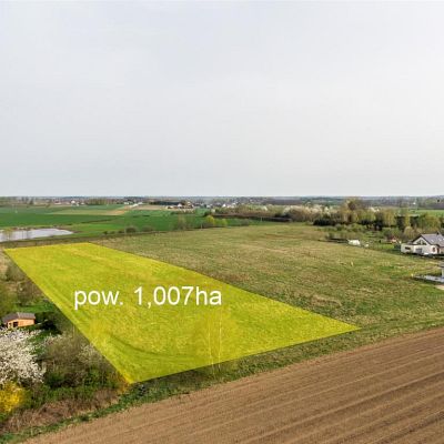 DZIAŁKA na SPRZEDAŻ