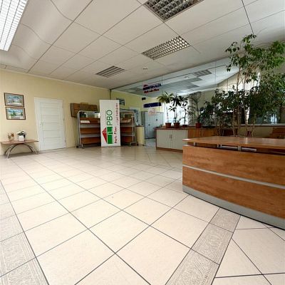LOKAL na WYNAJEM